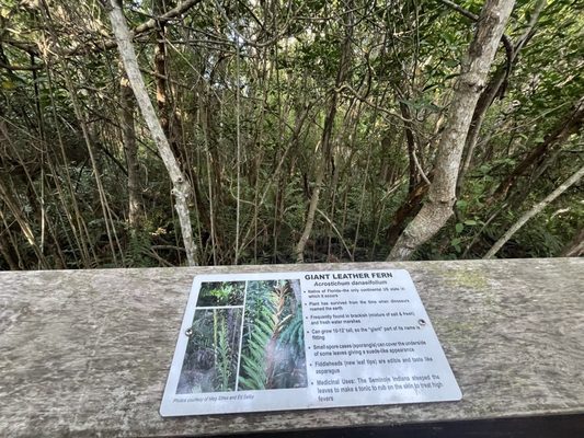 Naples Grande Beach Resort by null