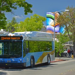 Petaluma Transit