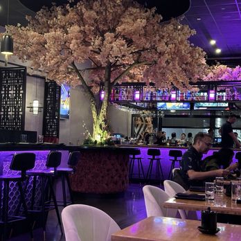 Ten Sushi Cocktail Bar - Dining Area - Asian Fusion Near Me - Irvine, California