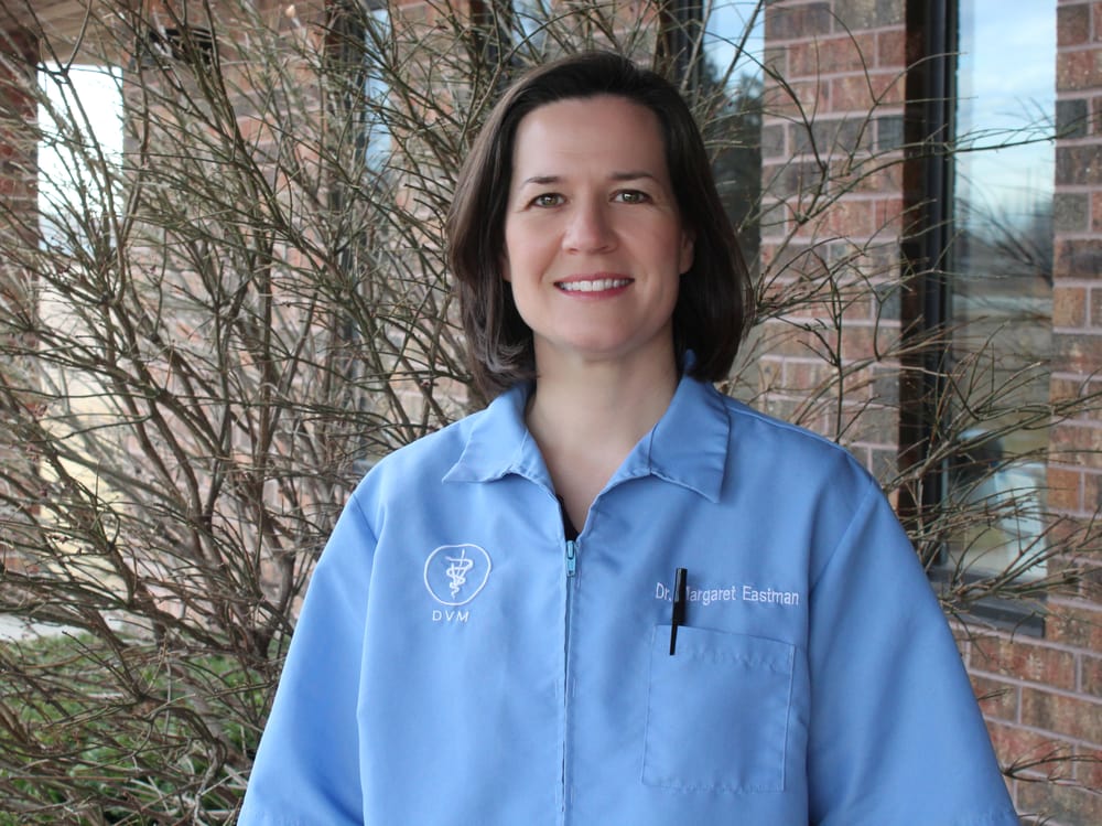 BAY EAST ANIMAL HOSPITAL Updated September 2024 12 Photos & 10 Reviews 1475 Lime Kiln Rd