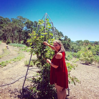 Medlock Ames - Bell Mountain Ranch - Blackberries!!! - Wineries Near Me - Healdsburg, California