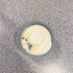 Hogan Middle School - Mold in the cream cheese that goes with the bagel