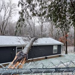 Timber Ridge Tree care