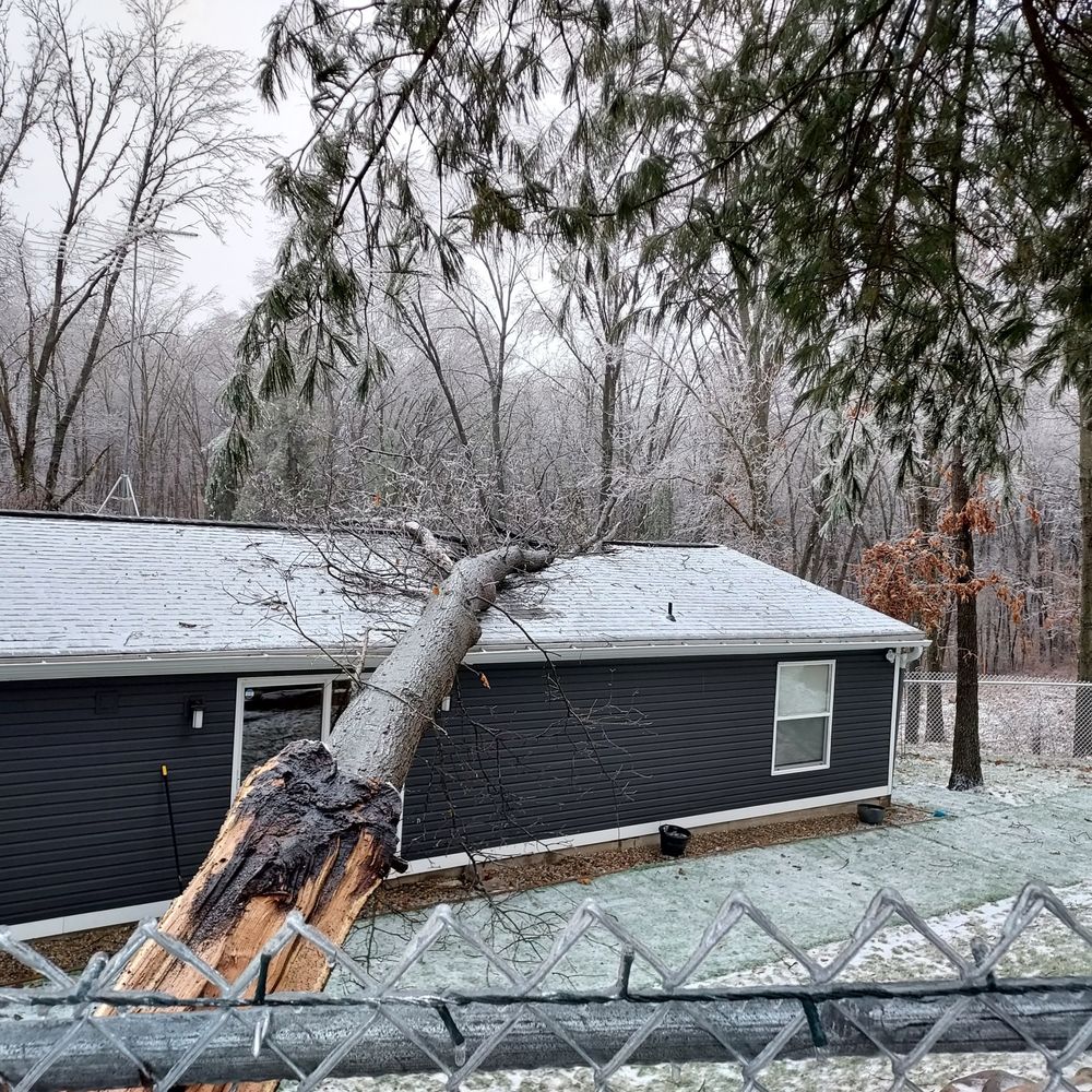 TIMBER RIDGE TREE SERVICE Updated September 2024 14 Reviews 4335