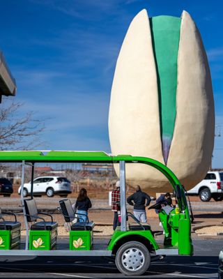 McGinn's PistachioLand by null