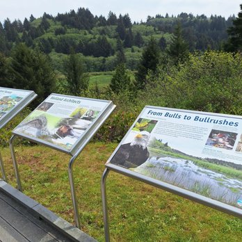 Beaver Creek State Natural Area - Placards off deck at visitor's center - Hiking Near Me - Seal Rock, Oregon Beaver Creek State Natural Area - Placards off deck at visitor's center - Hiking Near Me - Seal Rock, Oregon