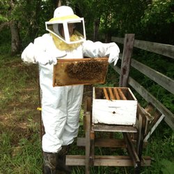 St Brigids Meadows - The honey man showing off his hive