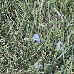 LA Carpet - Trash on my lawn.