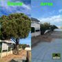 Photo of Desert Heat Yard Clean Up