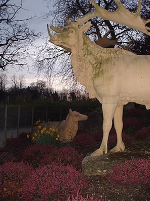 Crystal Palace Dinosaurs by null