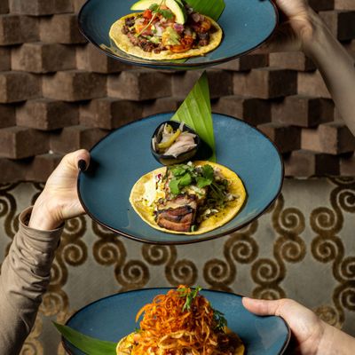 solita Tacos & Margaritas by null