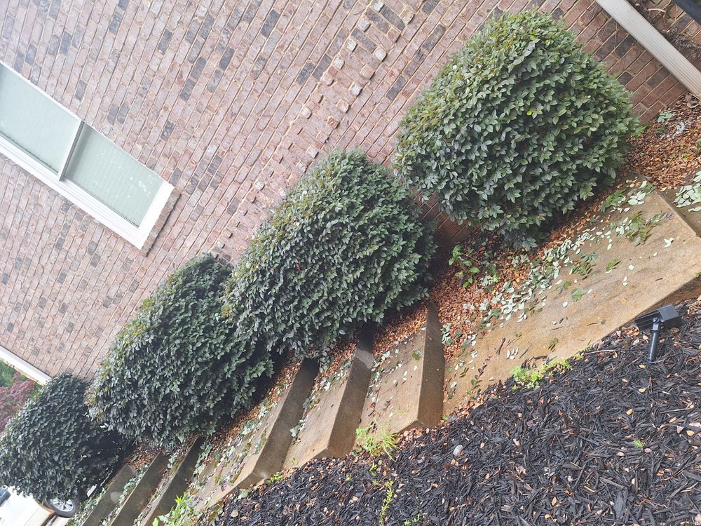 Slide of 1 Team 1 House