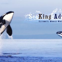 Seaking Adventures