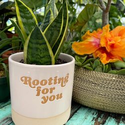 Hippie Roots Nursery