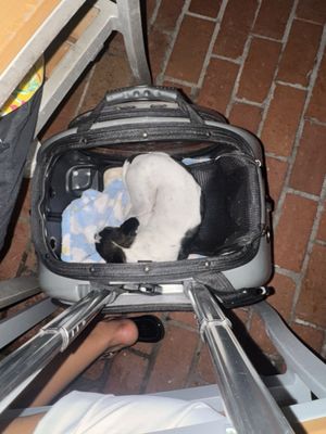 Harry's Seafood, Bar & Grille by null