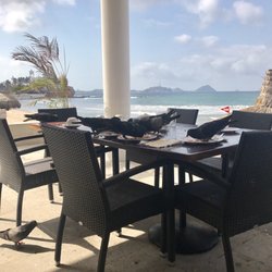 Ramada Resort Mazatlan - Birds on all the food all the time