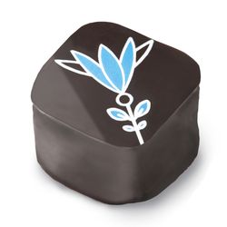 Chocolat Céleste