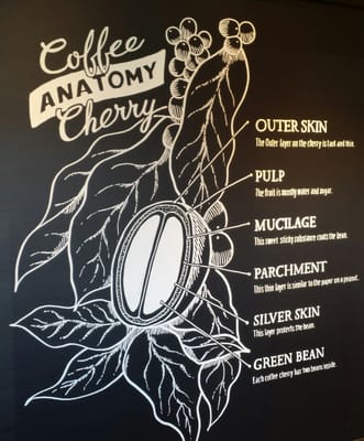 Menu photo 4 Starbucks St. George, UT