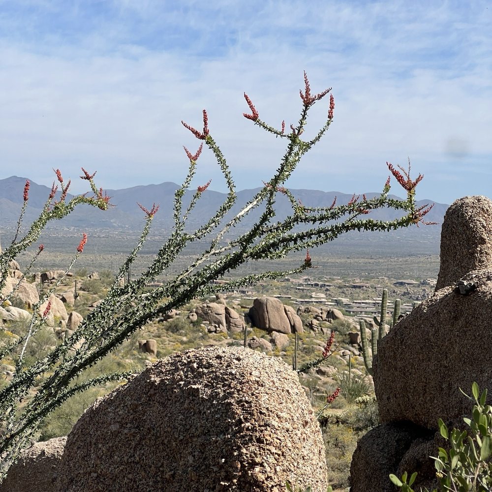Pinnacle Peak Park - Hiking Near Me - Scottsdale, Arizona Pinnacle Peak Park - Hiking Near Me - Scottsdale, Arizona