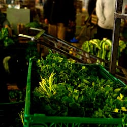 BAR - Banco de Alimentos - Verdura recuperada por BAR