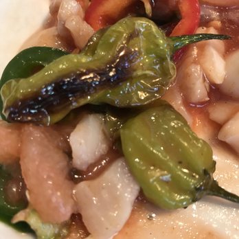 Anson 11 - You must try the mild-with-a-kick shishito peppers! I want to plant a garden full of them, now. - New American Near Me - El Paso, Texas Anson 11 - You must try the mild-with-a-kick shishito peppers! I want to plant a garden full of them, now. - New American Near Me - El Paso, Texas