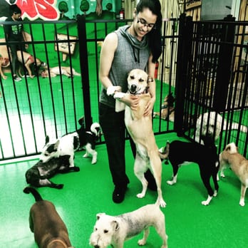 4 lucky paws animal rescue