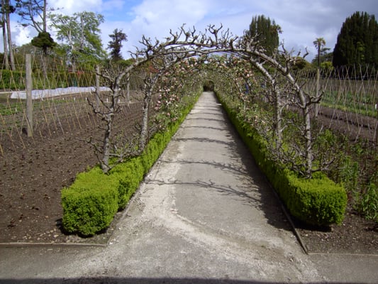 The Lost Gardens of Heligan by null