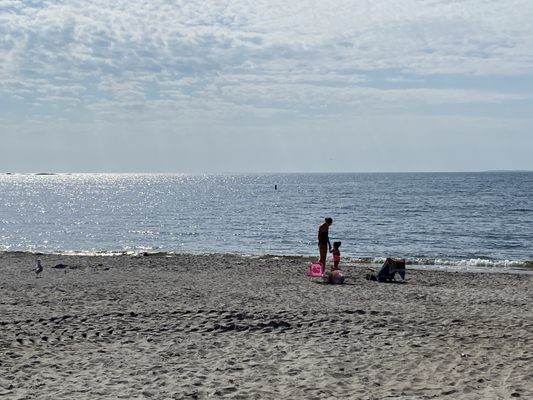 Rocky Neck State Park by null