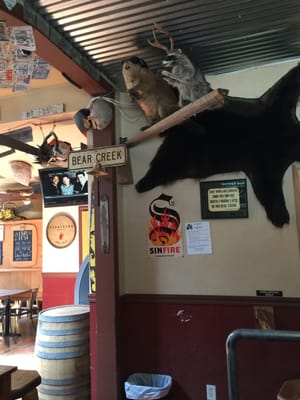 Big O Saloon by null