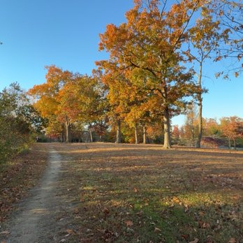 Dewitt Loop Trail - Hiking Near Me - Fort Belvoir, Virginia