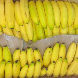 Pacific Coast Produce