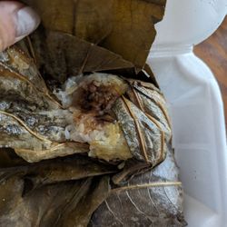 LuLu Asian Kitchen - Sticky rice in lotus leaf. So delicious!