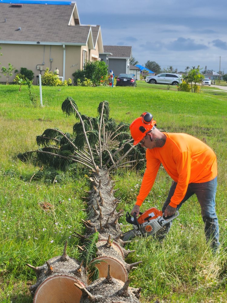 Slide of Greenbelt by Chdo