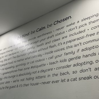 Biscuits & Beans - Be kind, be calm, be chosen - Themed Cafes Near Me - Winchester, Virginia Biscuits & Beans - Be kind, be calm, be chosen - Themed Cafes Near Me - Winchester, Virginia