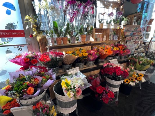 Woodlands Market by null