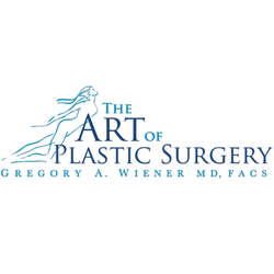 The Art of Plastic Surgery