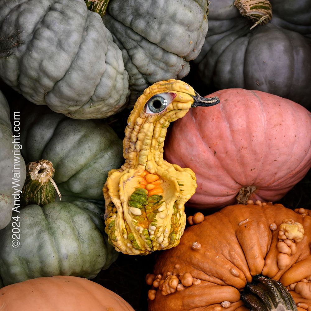 TOP 10 BEST Pumpkin Patches near Great Neck Plaza, NY - Updated 2026 - Yelp