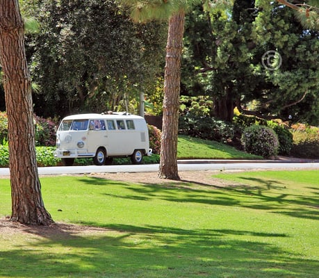 Presidio Park by null