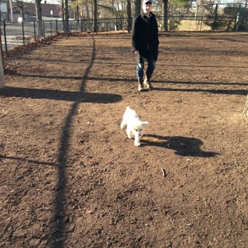 Union Street Dog Park - Dog Parks Near Me - New Haven, Connecticut Union Street Dog Park - Dog Parks Near Me - New Haven, Connecticut