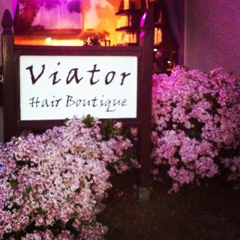 Viator Hair Boutique Logo