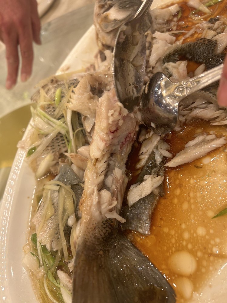 Canton Manor, Bayside Roadtrippers