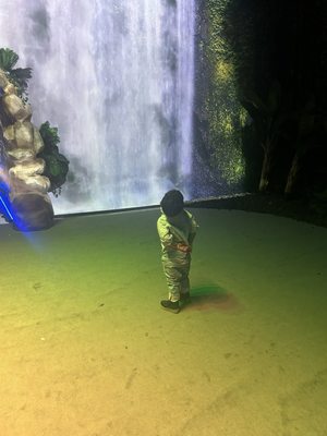 Dinos Alive Washington DC by null