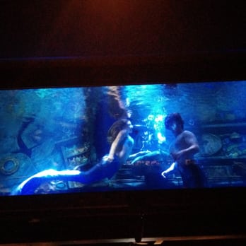Dive Bar - Mermaid and the ever elusive merman. - Dive Bars Near Me - Sacramento, California Dive Bar - Mermaid and the ever elusive merman. - Dive Bars Near Me - Sacramento, California