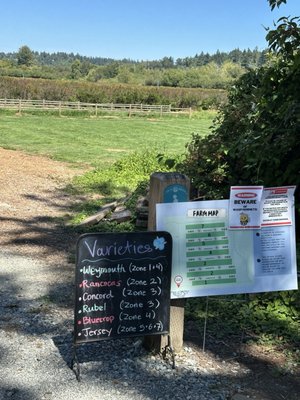 Mercer Slough Blueberry Farm by null