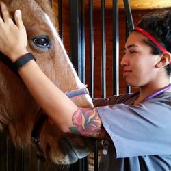Vet Tech Institute - Students love their time at the farm!