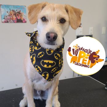Wanaque Pet Grooming - Pet Groomers Near Me - Wanaque, New Jersey