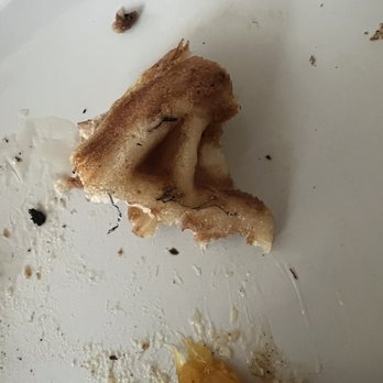 Nana’s Kitchen - Steel wool in waffle batter. - Vegan Near Me - Chandler, Arizona Nana’s Kitchen - Steel wool in waffle batter. - Vegan Near Me - Chandler, Arizona