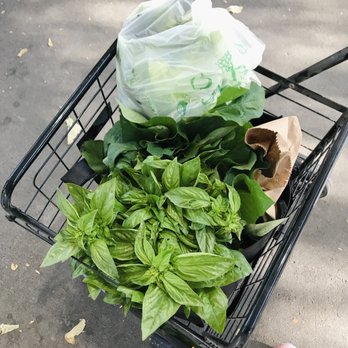 Davis Farmers Market - Fresh herbs, veggies and fruits - Farmers Market Near Me - Davis, California Davis Farmers Market - Fresh herbs, veggies and fruits - Farmers Market Near Me - Davis, California