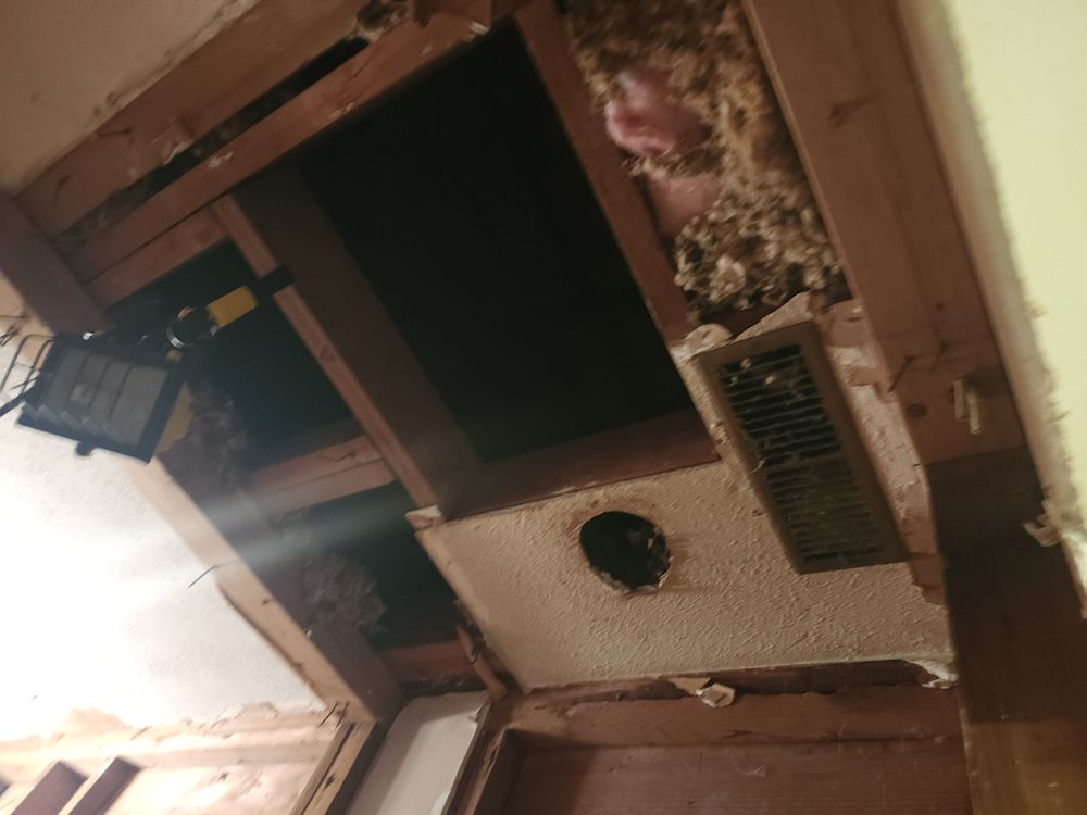 Slide of Zolicoffer Construction