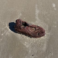 Padre Island National Seashore